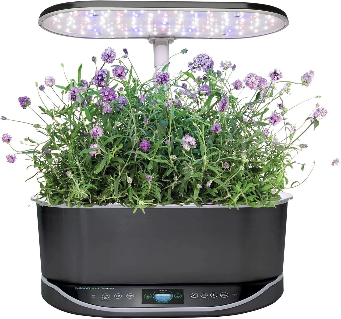 AeroGarden Cascading Petunias Seed pod Kit for AeroGarden Hydroponic Indoor Garden, 6-Pod(Lavender)