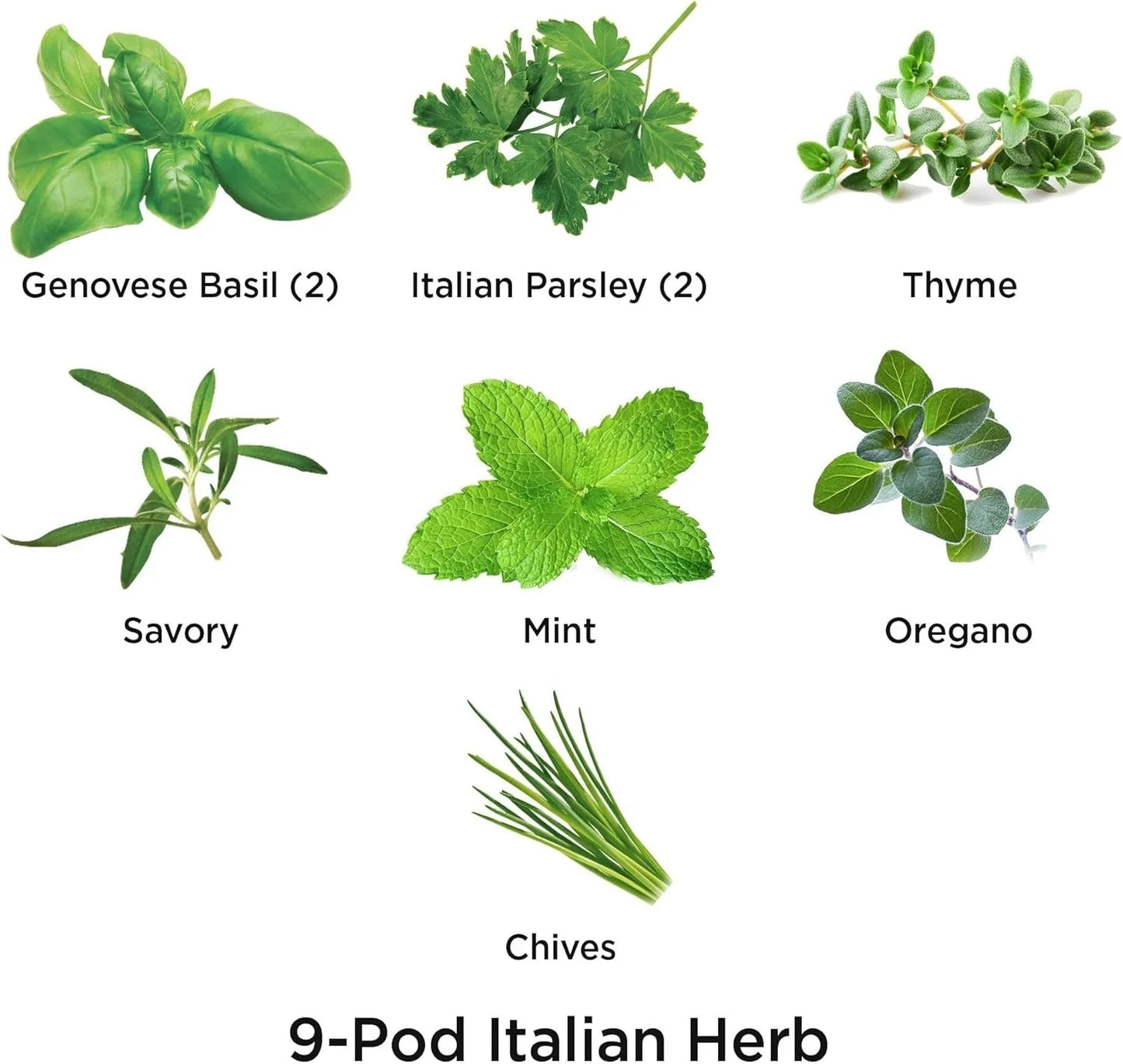 AeroGarden International Basil Seed Pod Kit(Italian Herbs)