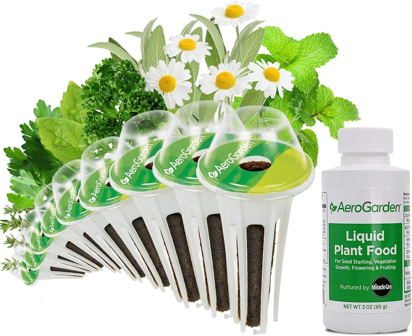 AeroGarden International Basil Seed Pod Kit(Traditional Medicinal Herbs)