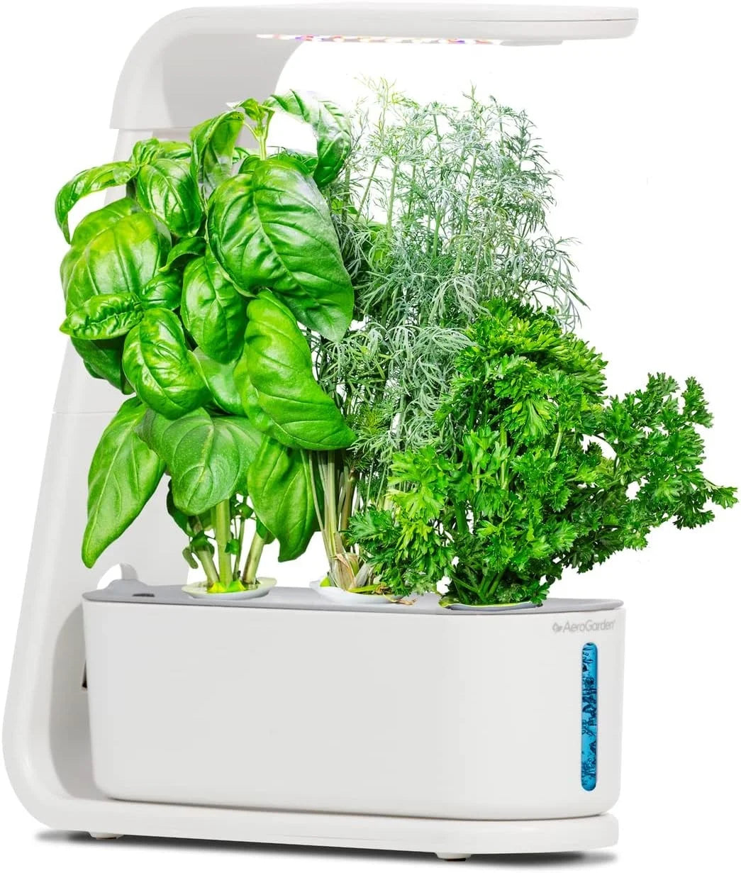 AeroGarden Gourmet Herb Seed pod Kit – Herb Seeds for AeroGarden Indoor Garden, 3-Pod(3-Pod)