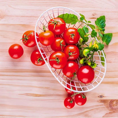 AeroGarden Golden Harvest Cherry Tomato Seed Pod Kit, 9-Pod(9-pod)