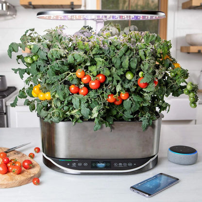 AeroGarden Golden Harvest Cherry Tomato Seed Pod Kit, 9-Pod(9-pod)