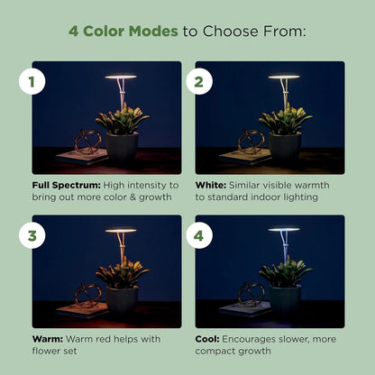 AeroGarden Stem Grow Light for Indoor Plants, Grow Live Plants Anywhere in the Home, Adjustable Light Modes, Black(Cream)