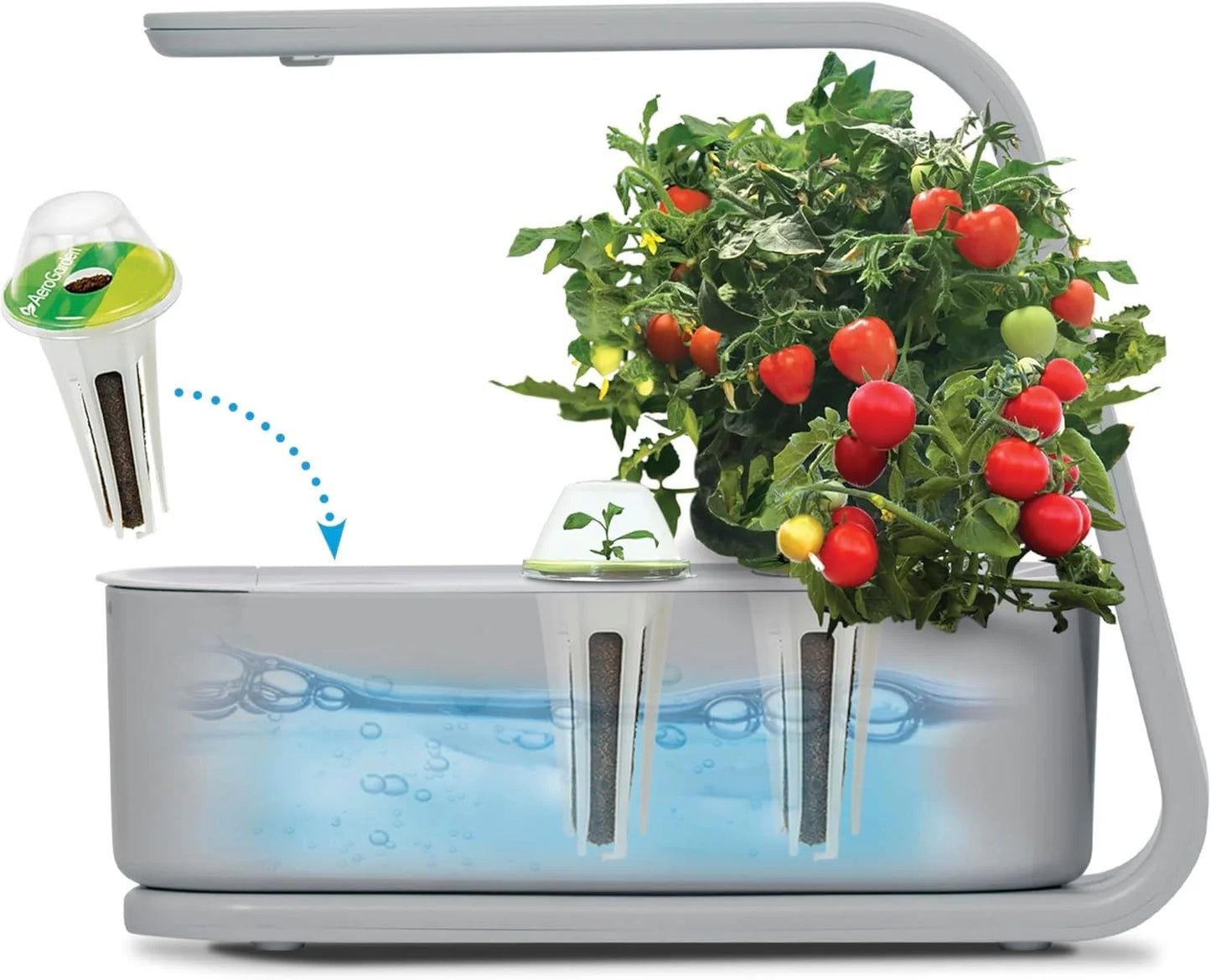 AeroGarden Sprout – Indoor Garden with LED Grow Light, Black(Cool Gray)