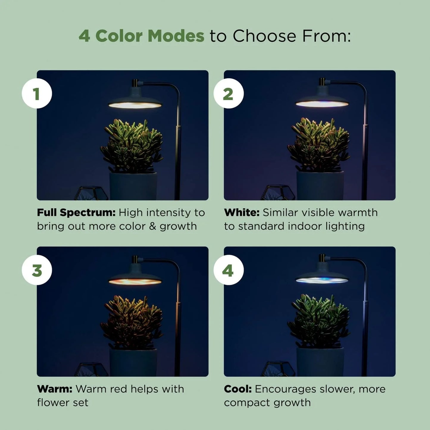 AeroGarden Tabletop Grow Light for Indoor Plants, Grow Live Plants Anywhere in The Home, Adjustable Light Modes, Black