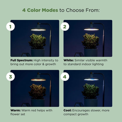 AeroGarden Tabletop Grow Light for Indoor Plants, Grow Live Plants Anywhere in The Home, Adjustable Light Modes, Black