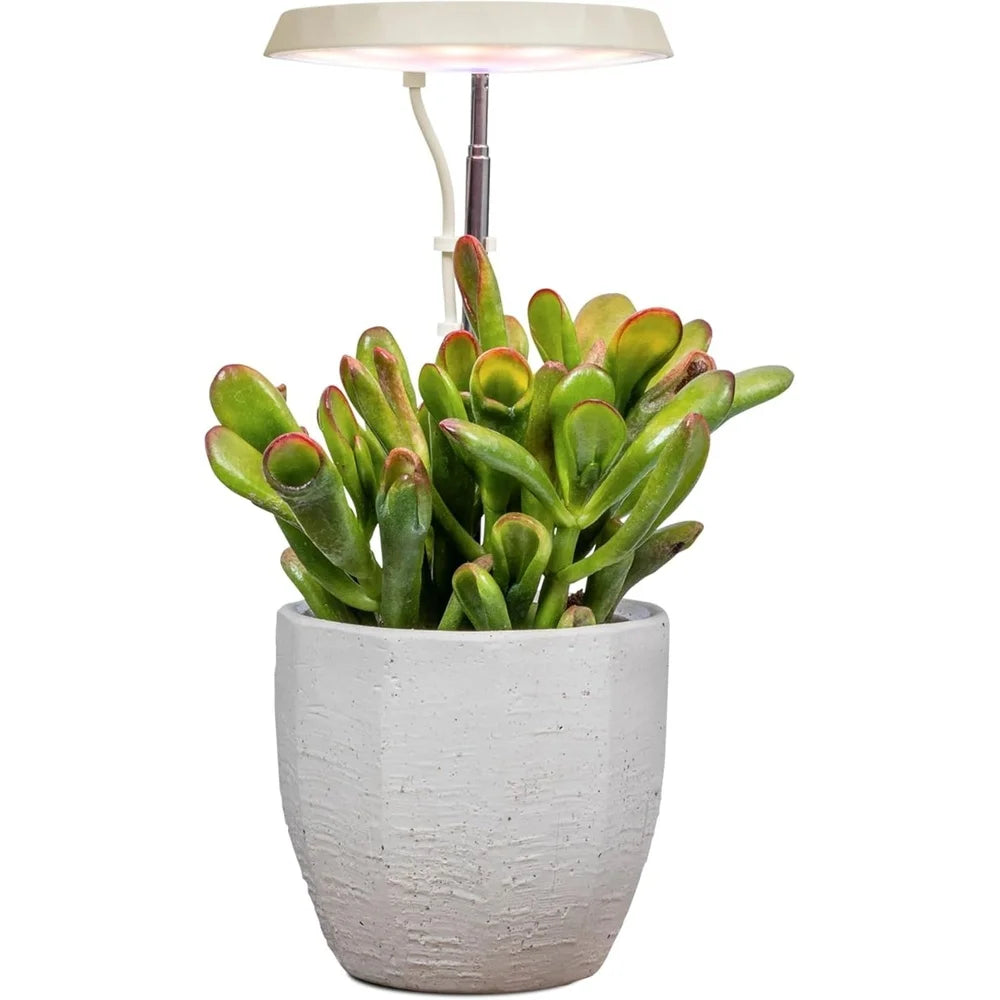AeroGarden Stem Grow Light for Indoor Plants, Grow Live Plants Anywhere in the Home, Adjustable Light Modes, Black(Cream)