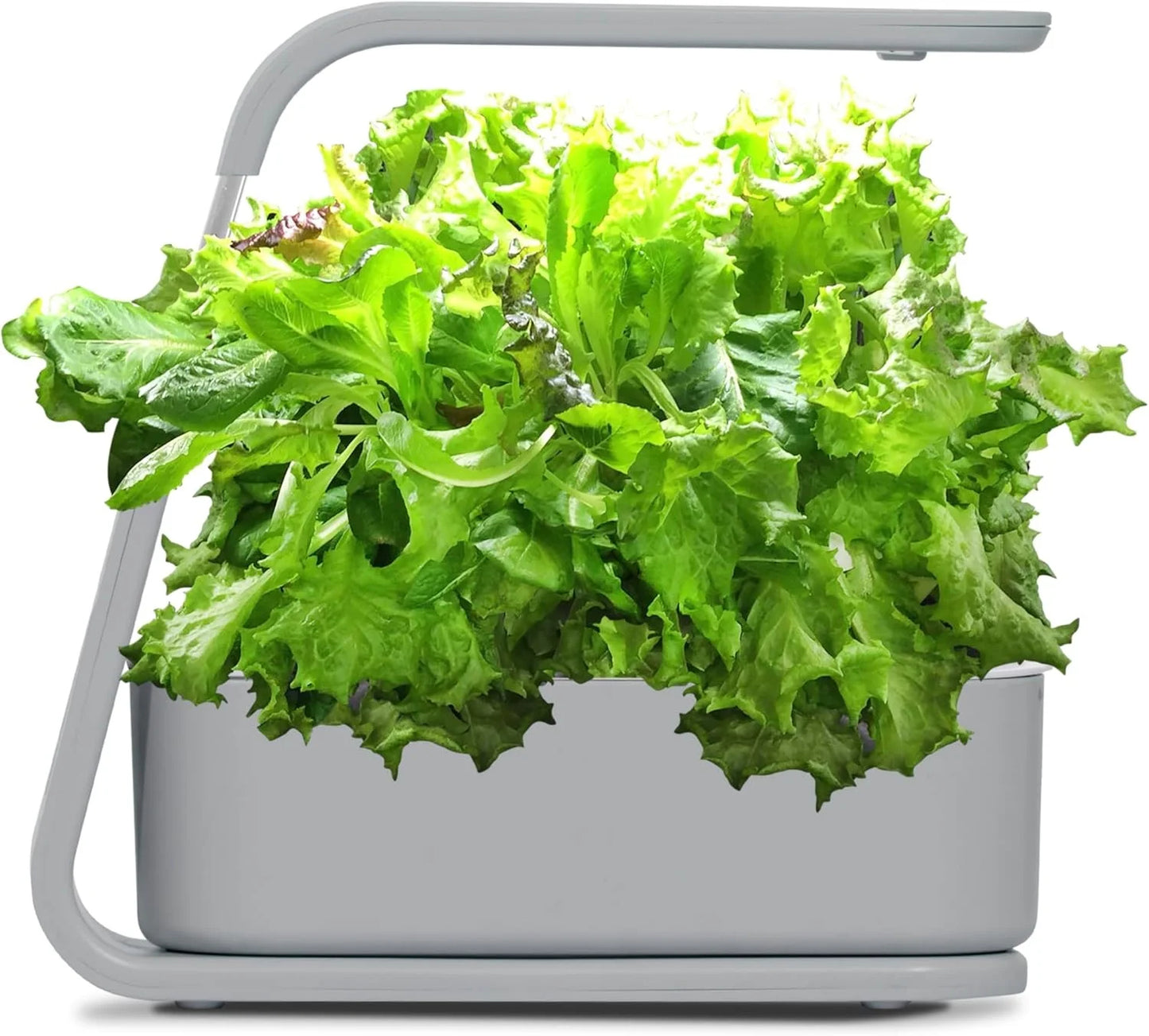 AeroGarden Sprout – Indoor Garden with LED Grow Light, Black(Cool Gray)
