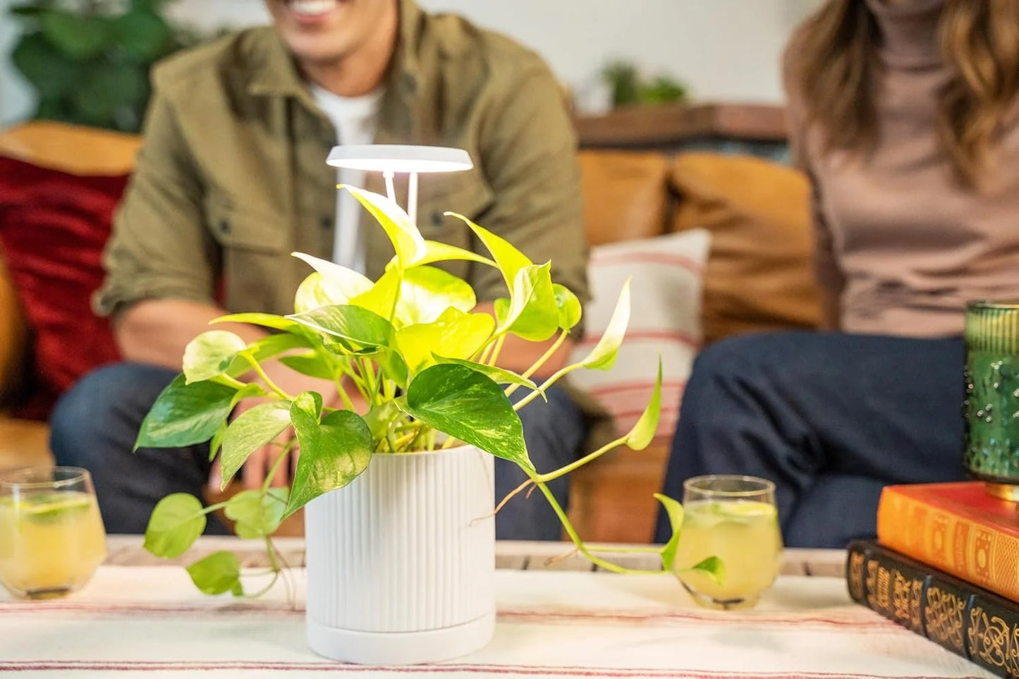 AeroGarden Stem Grow Light for Indoor Plants, Grow Live Plants Anywhere in the Home, Adjustable Light Modes, Black(Cream)