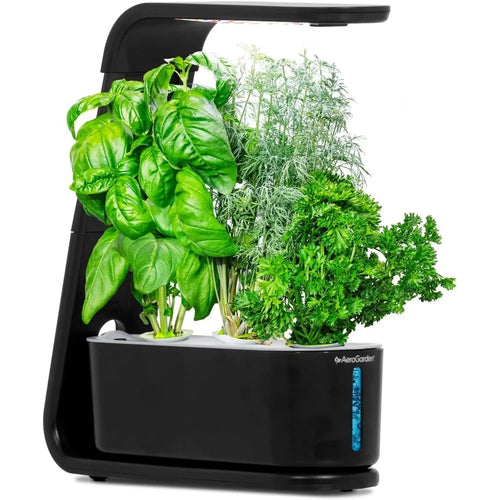 AeroGarden Sprout – Indoor Garden with LED Grow Light, Black(Black)