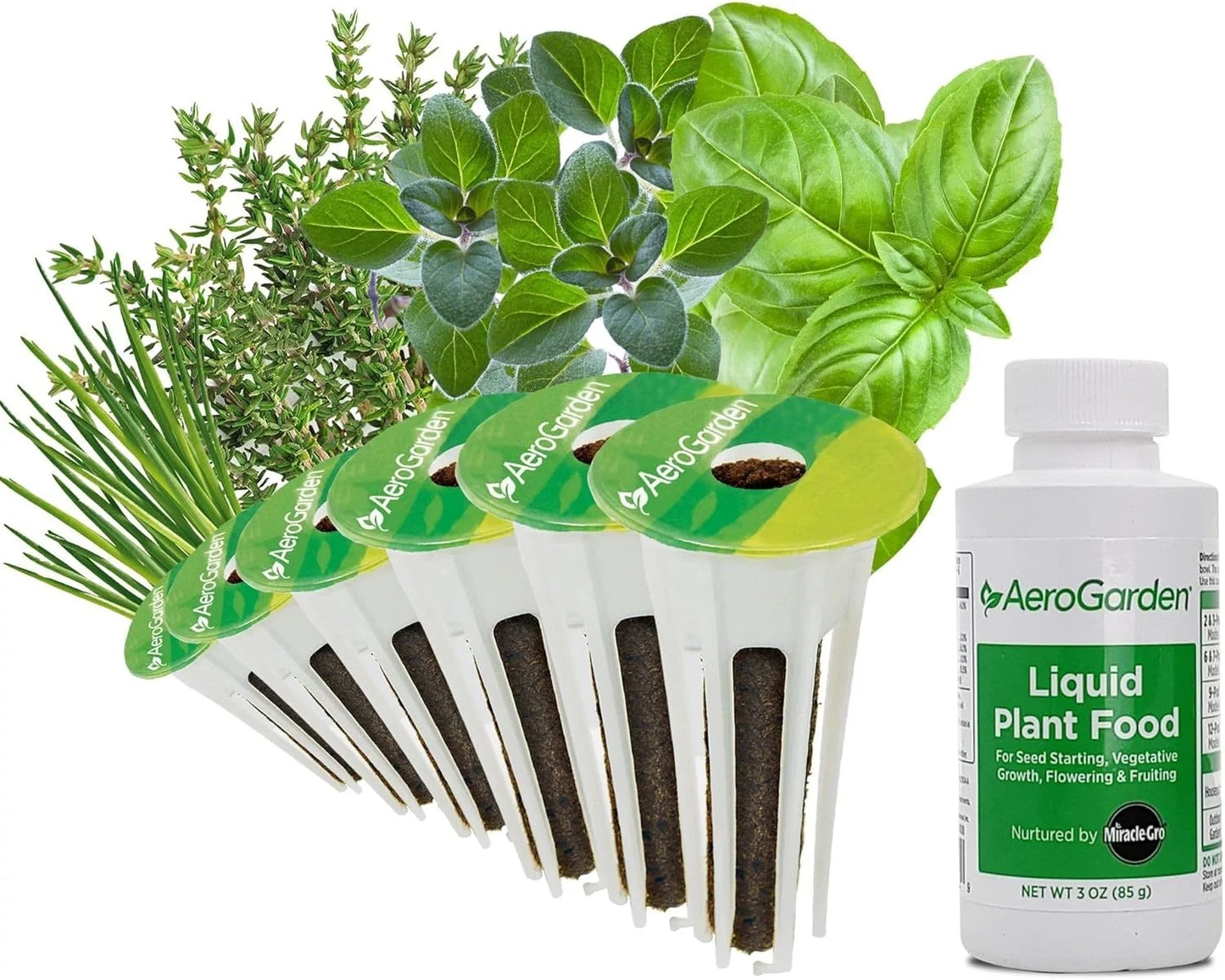AeroGarden International Basil Seed Pod Kit(Pizza Herbs)