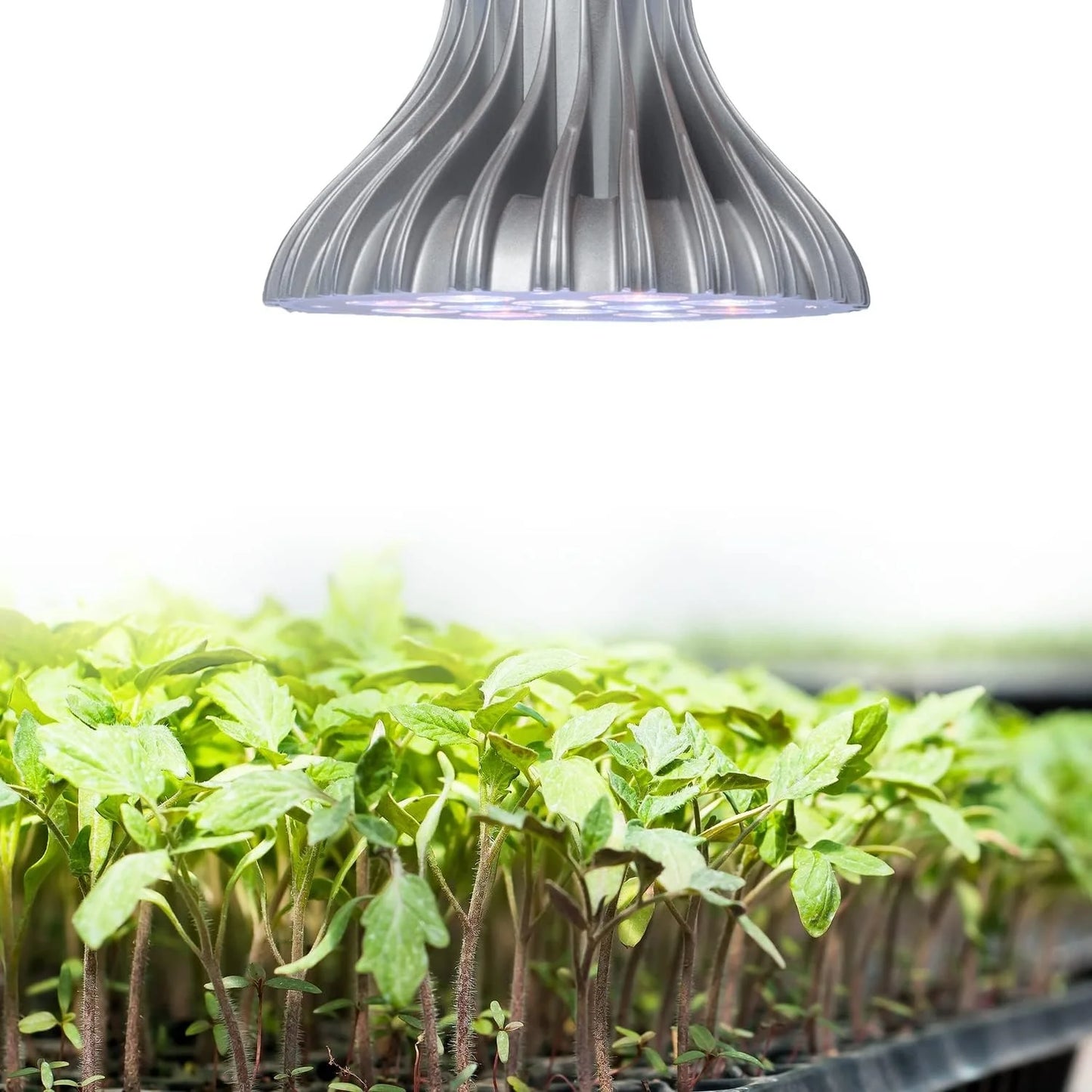 AeroGarden 20w LED Grow Light (1-Pack)(20 Watts)