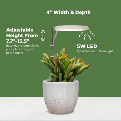 AeroGarden Stem Grow Light for Indoor Plants, Grow Live Plants Anywhere in the Home, Adjustable Light Modes, Black(Cream)