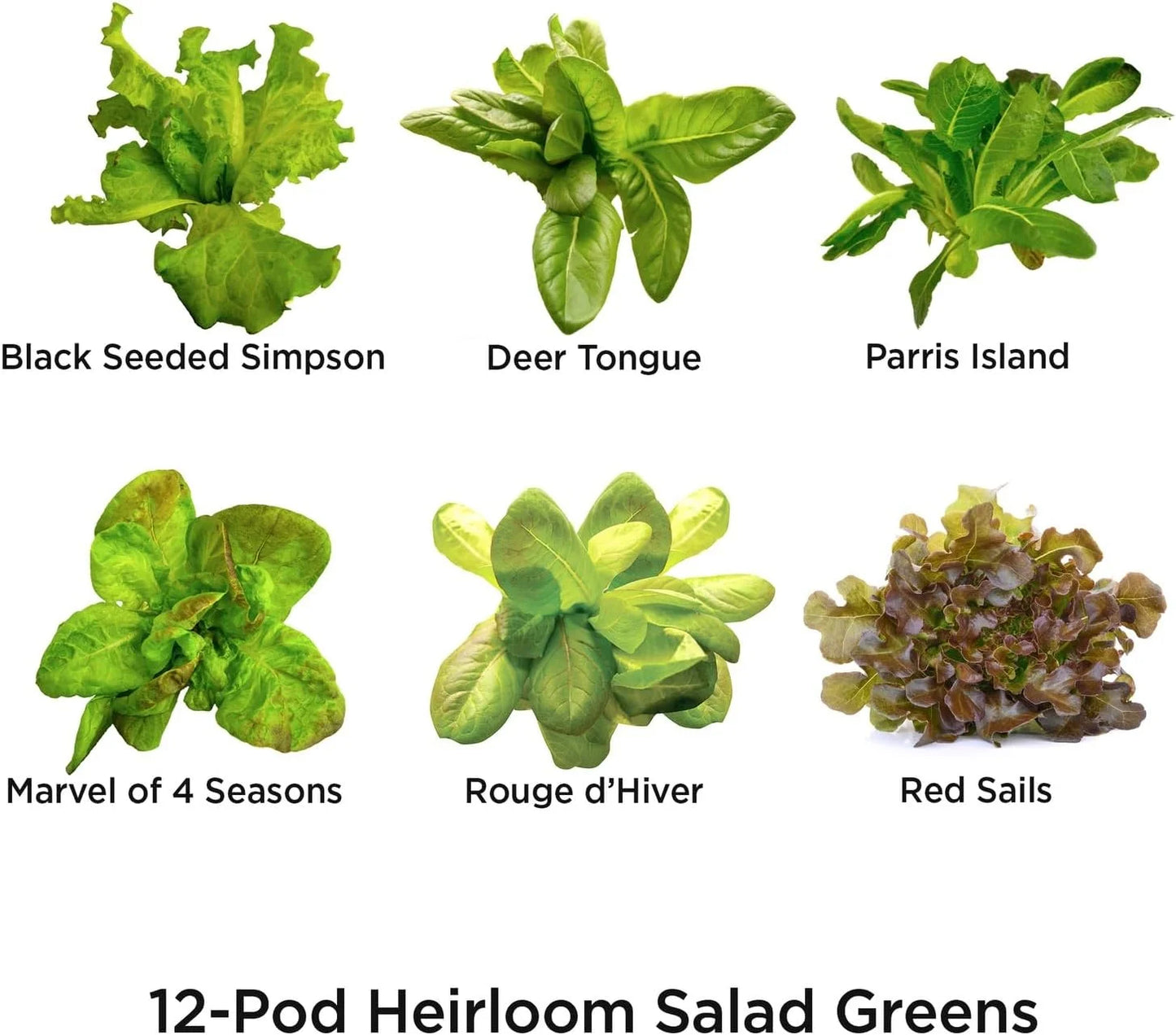 AeroGarden Heirloom Salad Greens Mix Seed Pod Kit – Salad Kit for AeroGarden Indoor Garden, 9-Pod(12-pod)