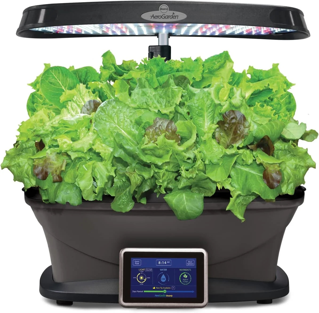 AeroGarden Heirloom Salad Greens Mix Seed Pod Kit – Salad Kit for AeroGarden Indoor Garden, 9-Pod(9-pod)