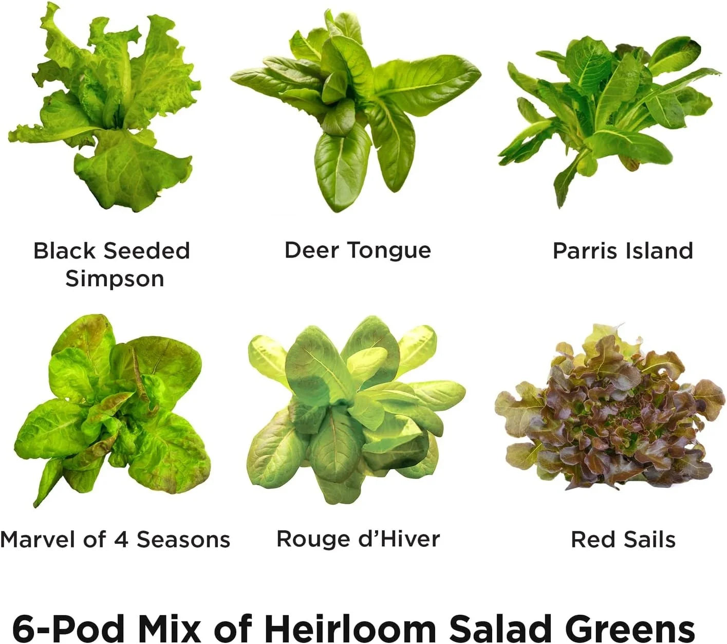AeroGarden Heirloom Salad Greens Mix Seed Pod Kit – Salad Kit for AeroGarden Indoor Garden, 9-Pod(6-pod)