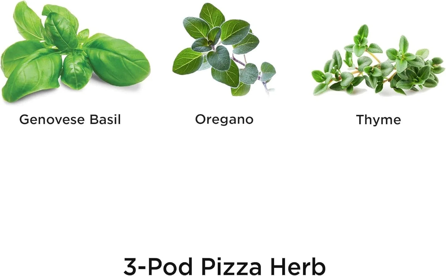AeroGarden International Basil Seed Pod Kit(Pizza Herbs)