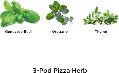 AeroGarden International Basil Seed Pod Kit(Pizza Herbs)