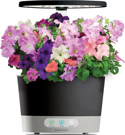 AeroGarden Cascading Petunias Seed pod Kit for AeroGarden Hydroponic Indoor Garden, 6-Pod(Cascading Petunias)