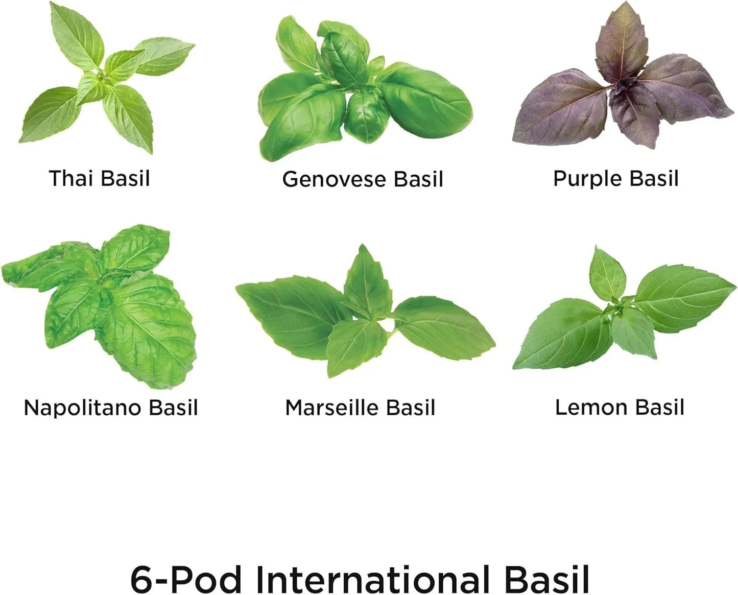 AeroGarden International Basil Seed Pod Kit(International Basil)