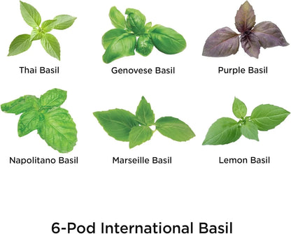 AeroGarden International Basil Seed Pod Kit(International Basil)