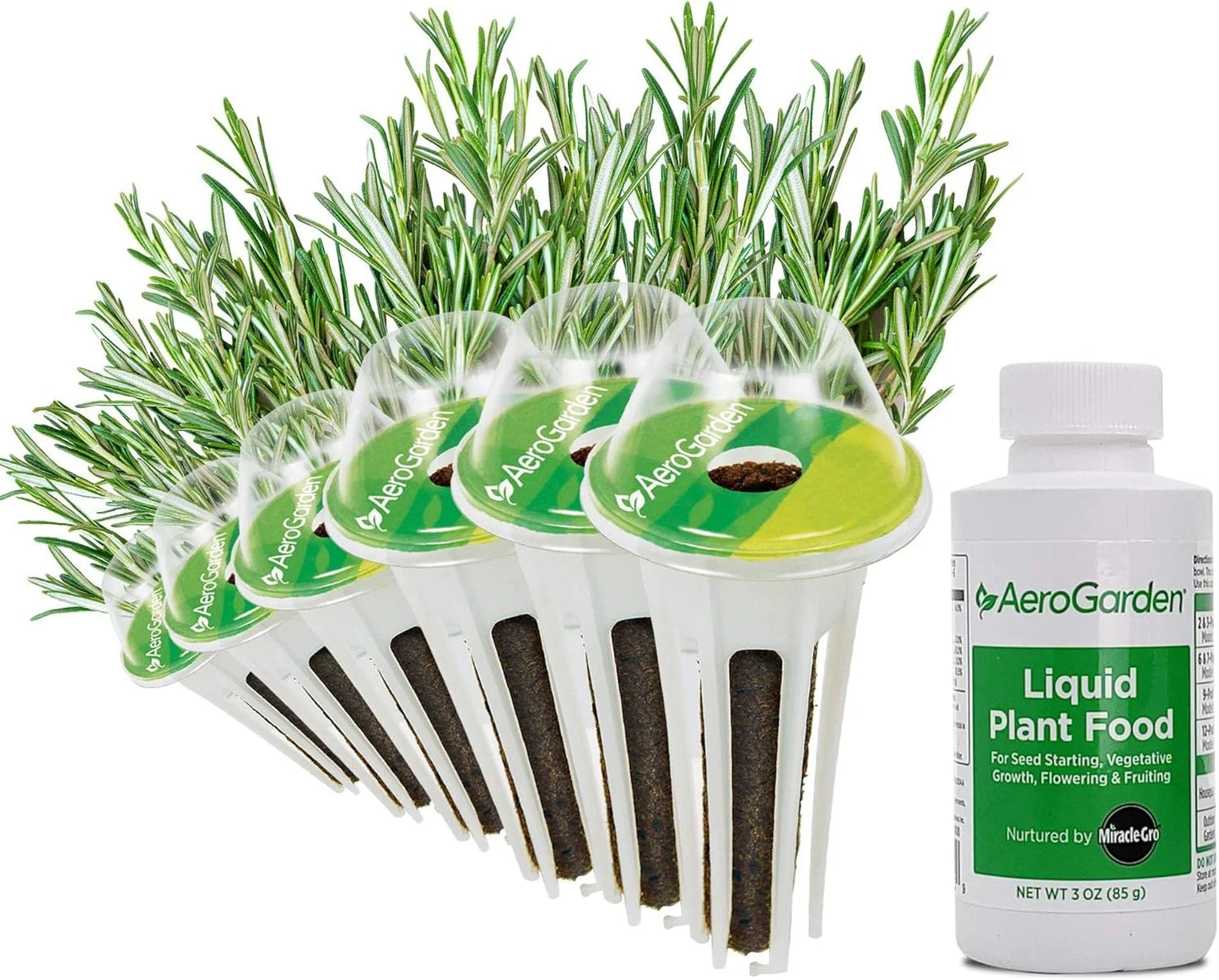AeroGarden International Basil Seed Pod Kit(Rosemary)