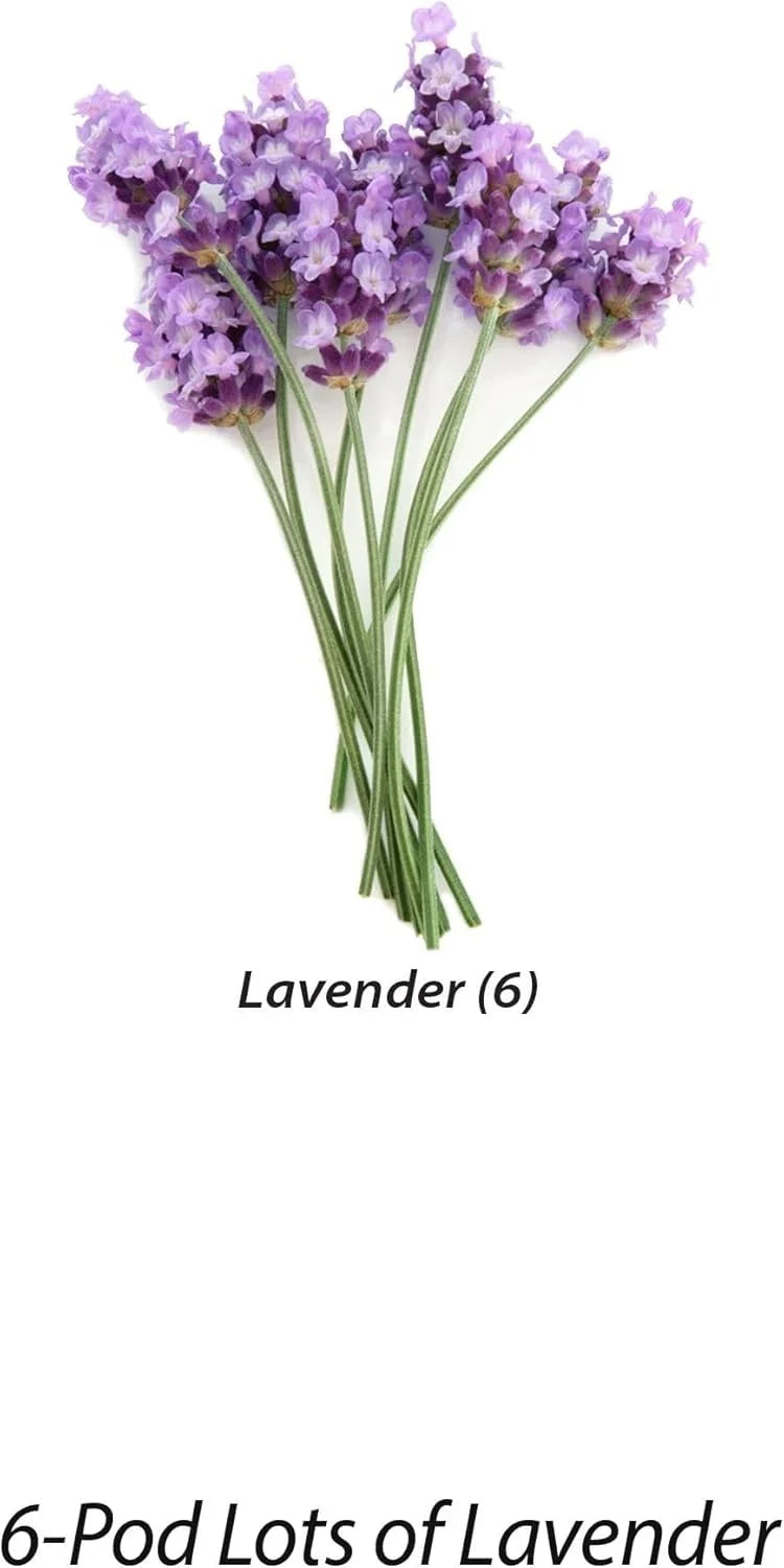 AeroGarden Cascading Petunias Seed pod Kit for AeroGarden Hydroponic Indoor Garden, 6-Pod(Lavender)