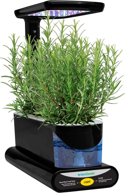 AeroGarden International Basil Seed Pod Kit(Rosemary)
