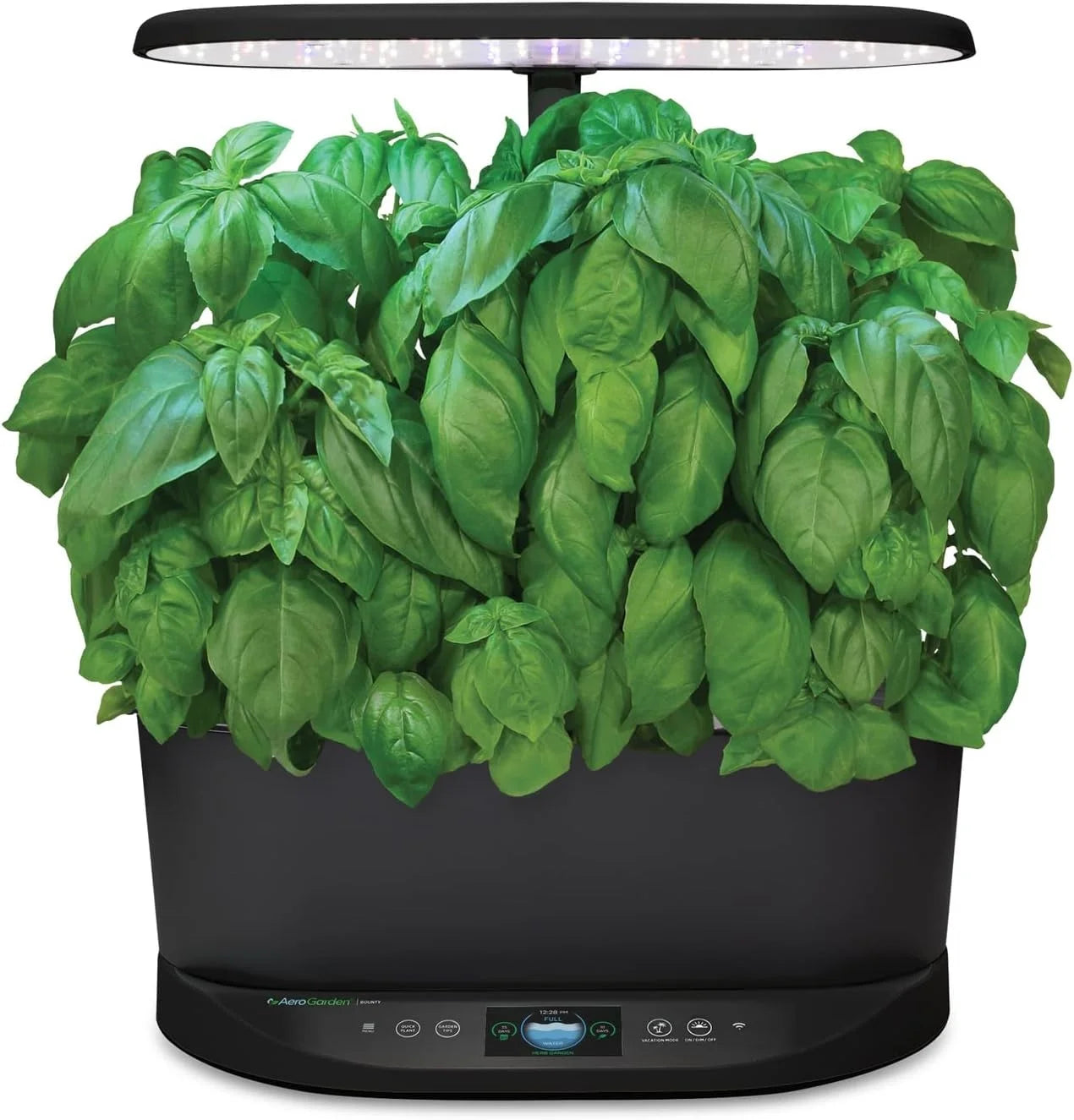 AeroGarden International Basil Seed Pod Kit(Pesto Basil)
