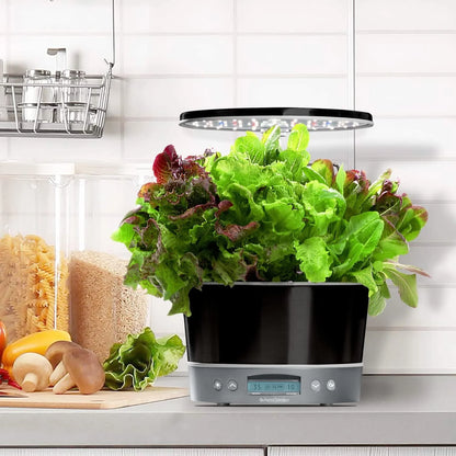 AeroGarden Harvest Elite 360 Indoor Garden Hydroponic System with LED Grow Light and Herb Kit, Holds up to 6 Pods, Platinum(Platinum)