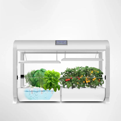 AeroGarden Heirloom Salad Greens Mix Seed Pod Kit – Salad Kit for AeroGarden Indoor Garden, 9-Pod(24-pod)