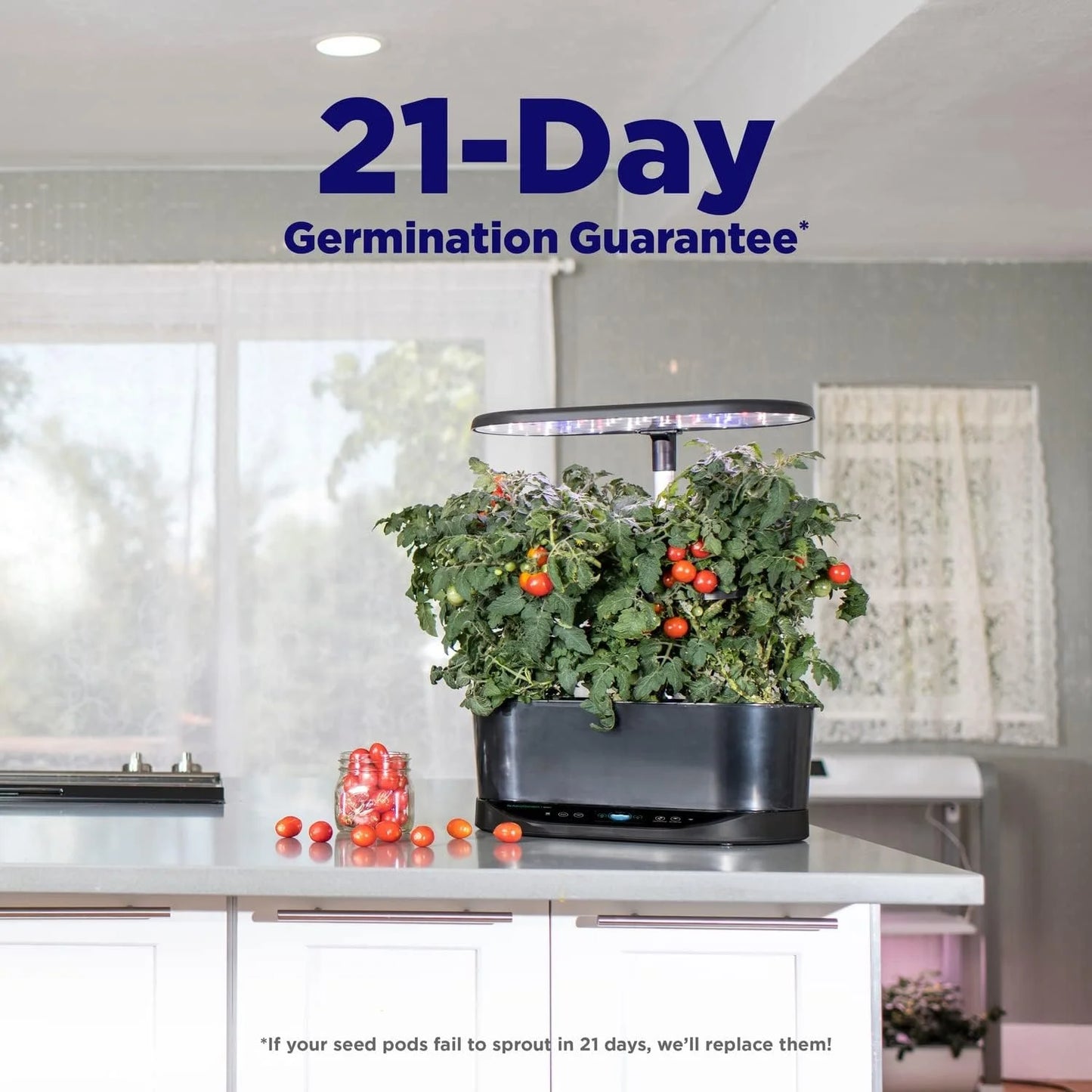 AeroGarden Bounty – Indoor Garden with LED Grow Light, WiFi and Alexa Compatible, Black