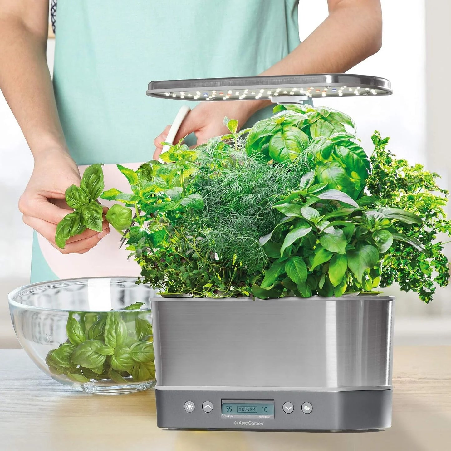 AeroGarden Harvest Elite LED Grow Light System Kit + Heirloom Salad Greens Mix Seed Pod Kit