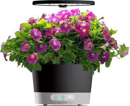 AeroGarden Cascading Petunias Seed pod Kit for AeroGarden Hydroponic Indoor Garden, 6-Pod(Love Blooms)