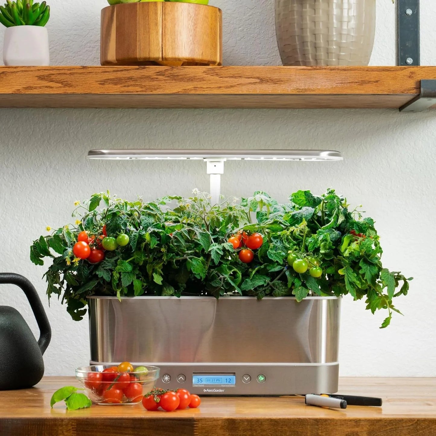 AeroGarden Golden Harvest Cherry Tomato Seed Pod Kit, 9-Pod(6-pod)