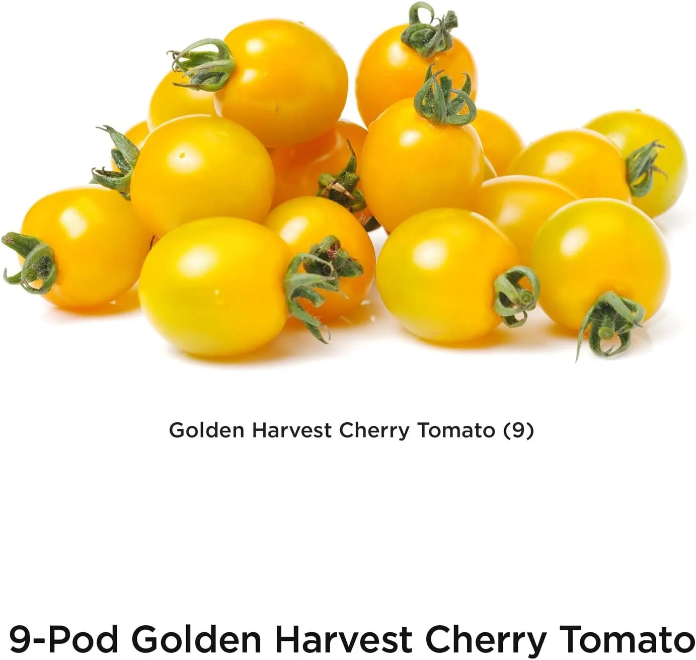 AeroGarden Golden Harvest Cherry Tomato Seed Pod Kit, 9-Pod(9-pod)