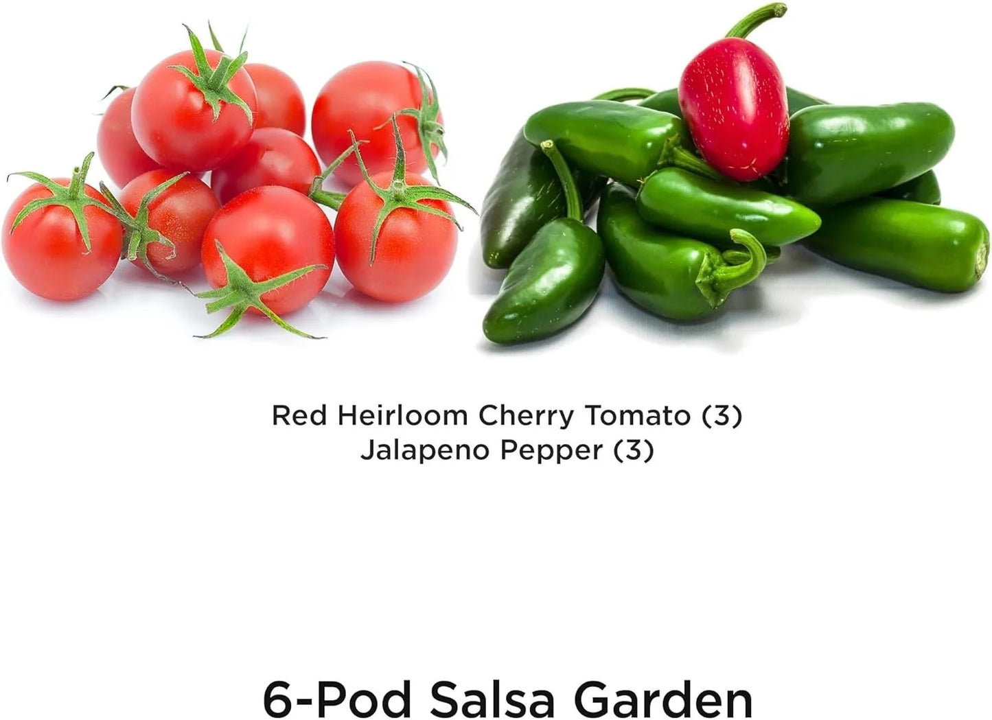 AeroGarden Salsa Garden Seed Pod Kit (6-pod)(6-pod – All AeroGardens)
