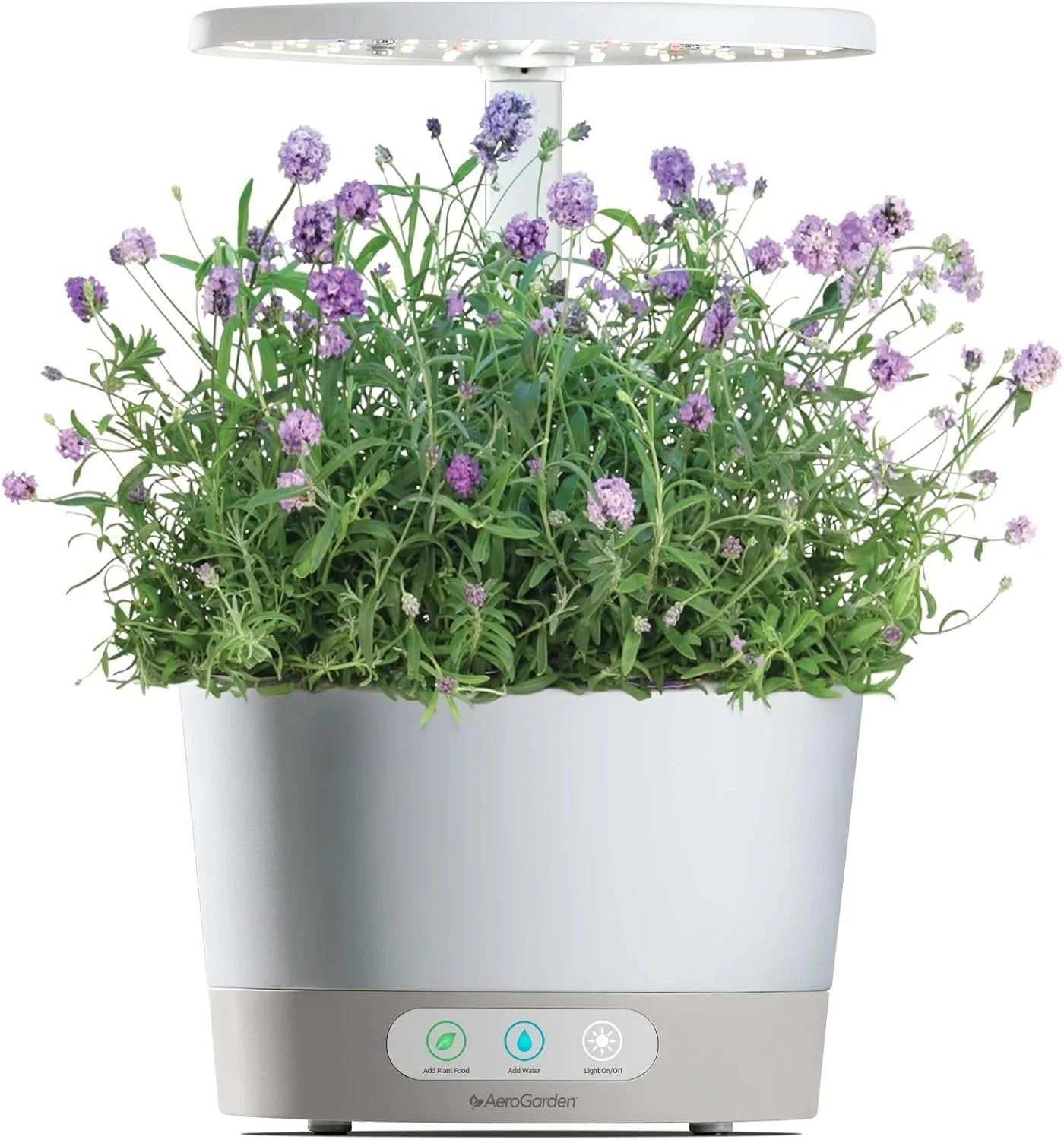 AeroGarden Cascading Petunias Seed pod Kit for AeroGarden Hydroponic Indoor Garden, 6-Pod(Lavender)