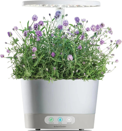 AeroGarden Cascading Petunias Seed pod Kit for AeroGarden Hydroponic Indoor Garden, 6-Pod(Lavender)