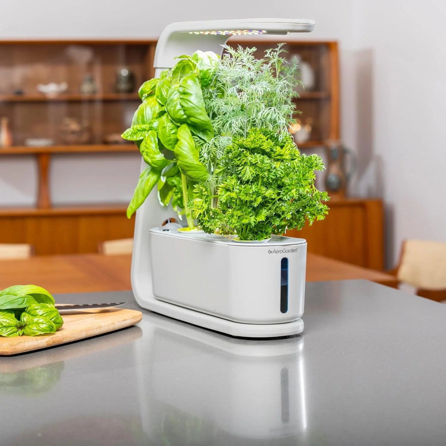 AeroGarden Sprout – Indoor Garden with LED Grow Light, Black(Cool Gray)