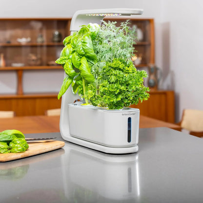 AeroGarden Sprout – Indoor Garden with LED Grow Light, Black(Cool Gray)