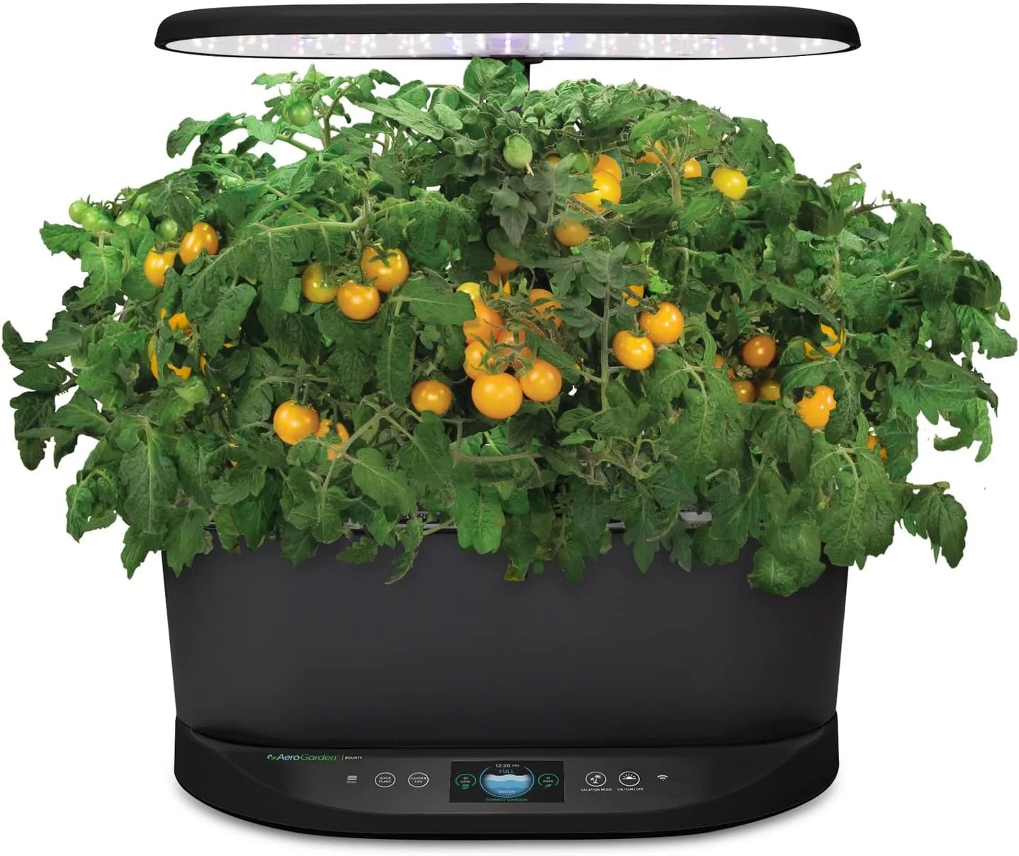 AeroGarden Golden Harvest Cherry Tomato Seed Pod Kit, 9-Pod(9-pod)