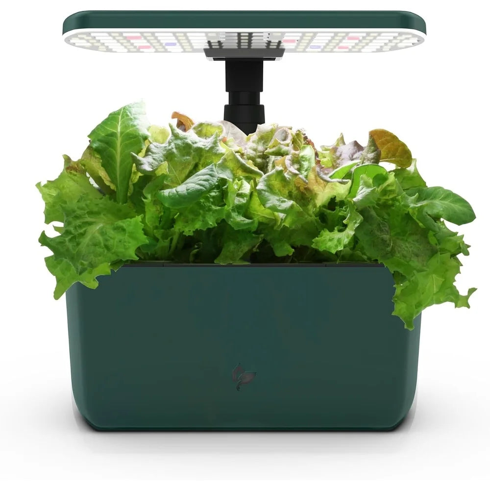 AeroGarden Harvest Indoor Garden Hydroponic System with LED Grow Light and Herb Kit, Holds up to 6 Pods, Black(Green)
