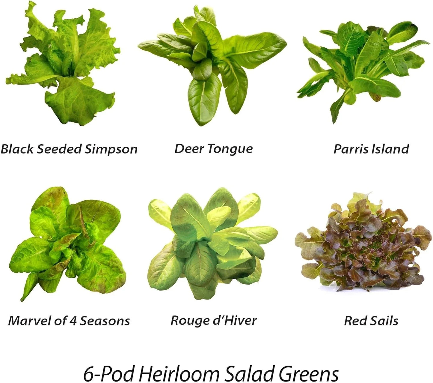 AeroGarden Heirloom Salad Greens Mix Seed Pod Kit – Salad Kit for AeroGarden Indoor Garden, 9-Pod(6-pod)