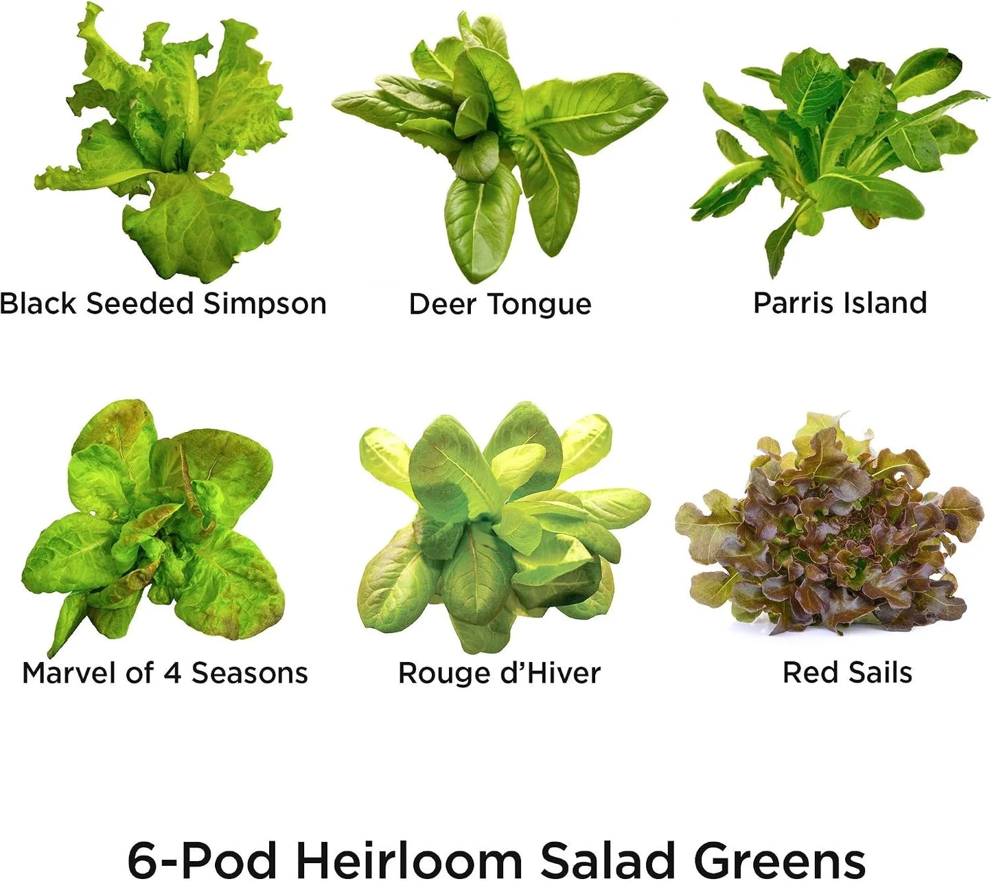 AeroGarden Harvest Elite LED Grow Light System Kit + Heirloom Salad Greens Mix Seed Pod Kit