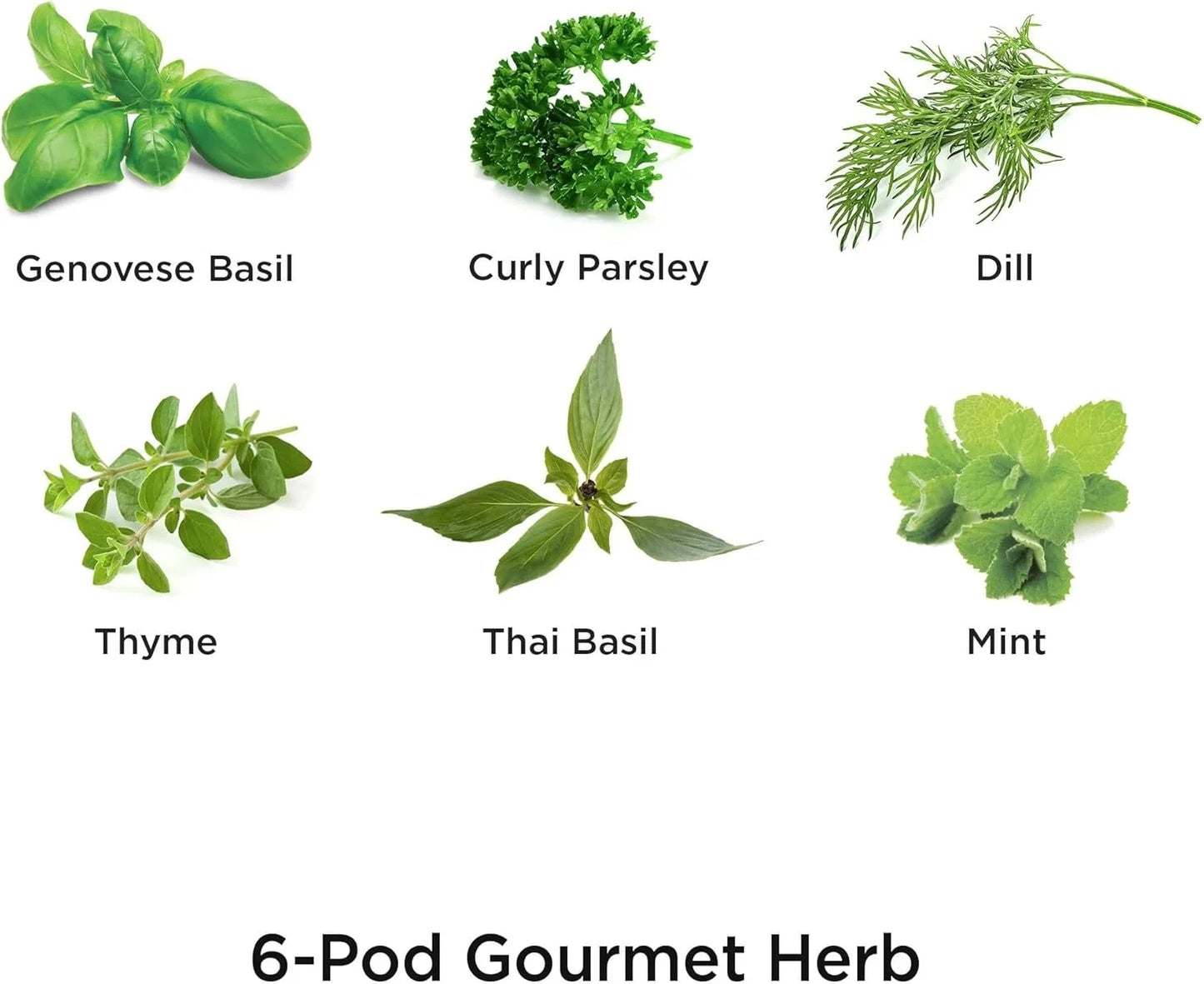 AeroGarden Gourmet Herb Seed pod Kit – Herb Seeds for AeroGarden Indoor Garden, 3-Pod(6-Pod)