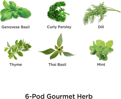AeroGarden Gourmet Herb Seed pod Kit – Herb Seeds for AeroGarden Indoor Garden, 3-Pod(6-Pod)