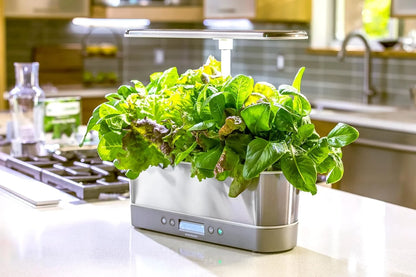 AeroGarden Harvest Elite Indoor Garden Hydroponic System with LED Grow Light and Seed Kit, Holds up to 6 Pods, Stainless Steel(Stainless Steel)