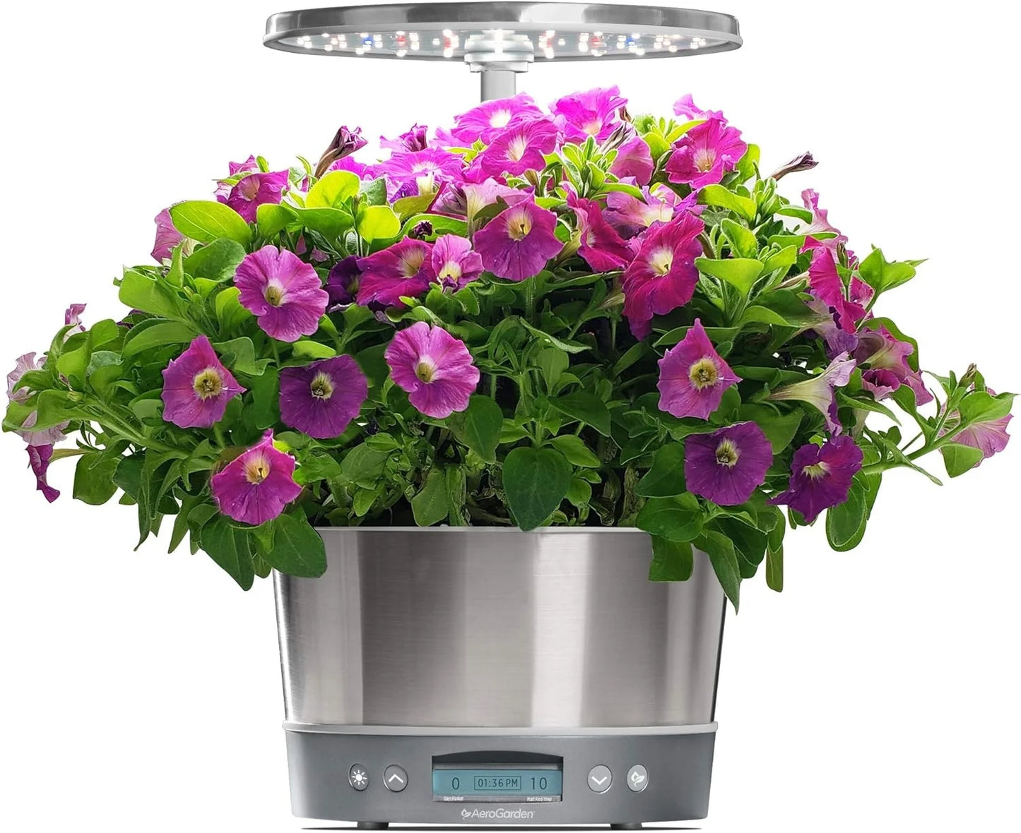 AeroGarden Cascading Petunias Seed pod Kit for AeroGarden Hydroponic Indoor Garden, 6-Pod(Love Blooms)