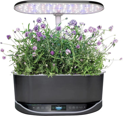 AeroGarden Cascading Petunias Seed pod Kit for AeroGarden Hydroponic Indoor Garden, 6-Pod(Lavender)